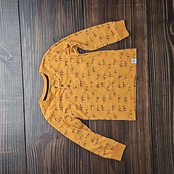 NEW! DINOSAUR LONGSLEEVE BUNDLE - Picture 2 of 10